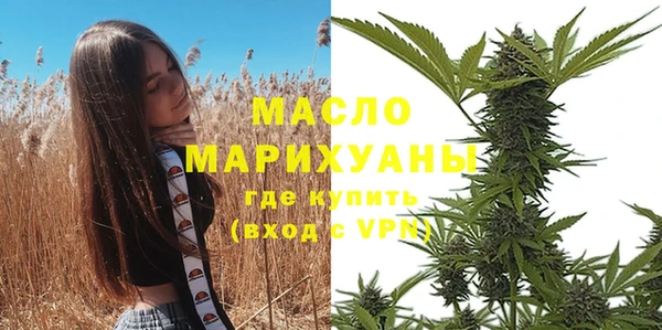 МДПВ Михайлов