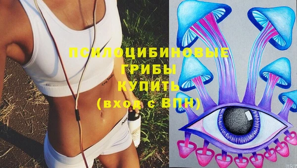 МДПВ Михайлов