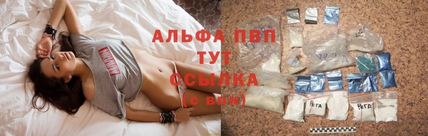 ПСИЛОЦИБИНОВЫЕ ГРИБЫ Михайловск