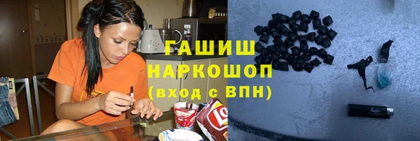 СК Бердск