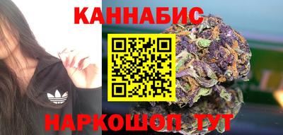 тгк Гай