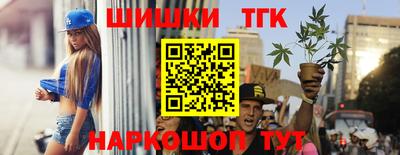 тгк Гай