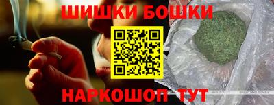 тгк Гай