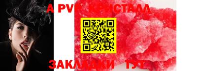 амф Гатчина