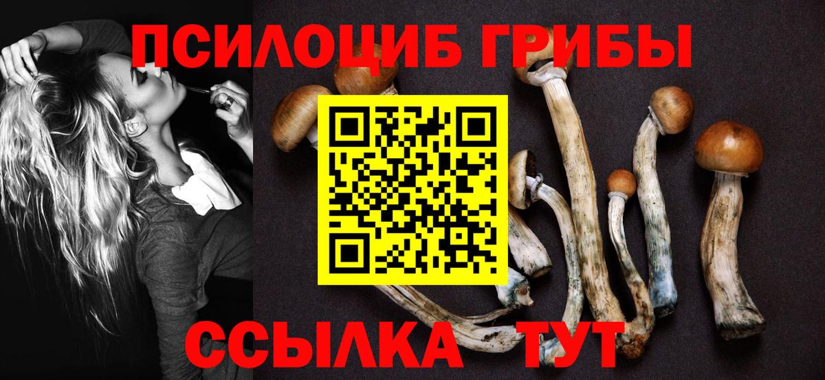 Магадан  Псилоцибиновые грибы Cubensis  Вход с VPN 